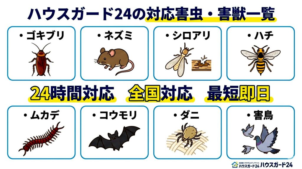 ハウスガード24とは?永年保証が評判の害獣駆除業者